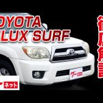 【トヨタ ハイラックスサーフ】210系 SSR‐Xリミテッドグーネット動画カタログ