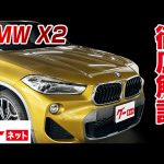 【BMW X2】F39 xDrive 18d MスポーツX グーネット動画カタログ