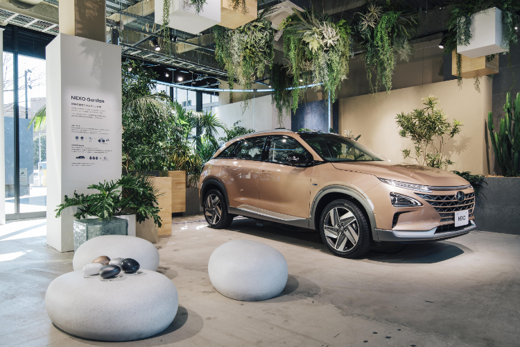 NEXO Garden
