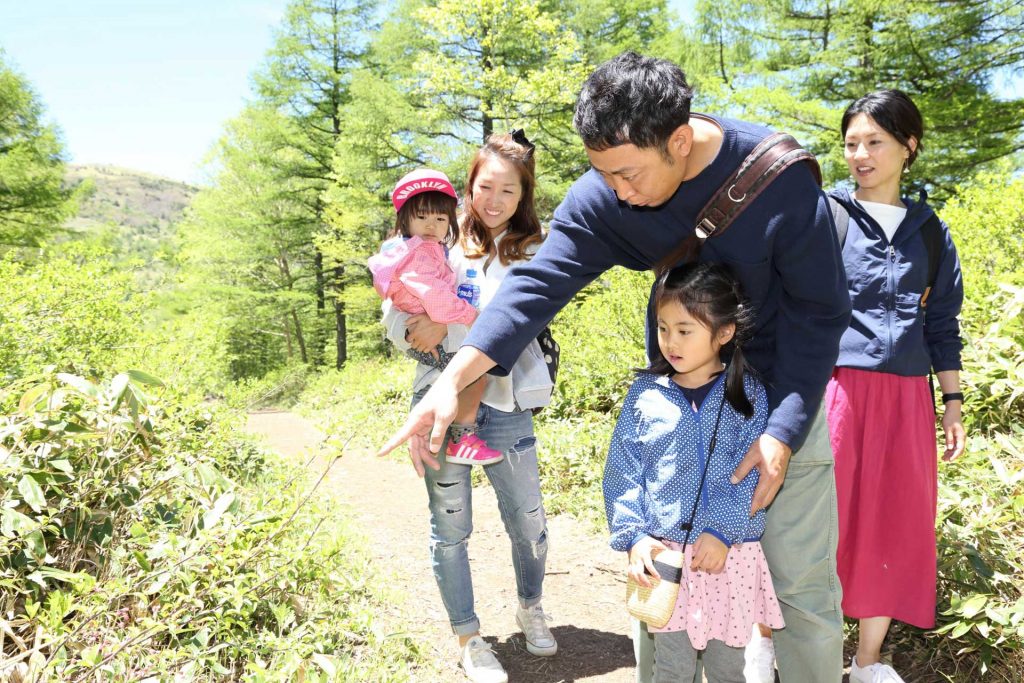 高原を散策して自然を満喫