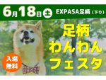 E1東名エクスパーサ足柄でわんわんフェスタ開催　中日本エクシス