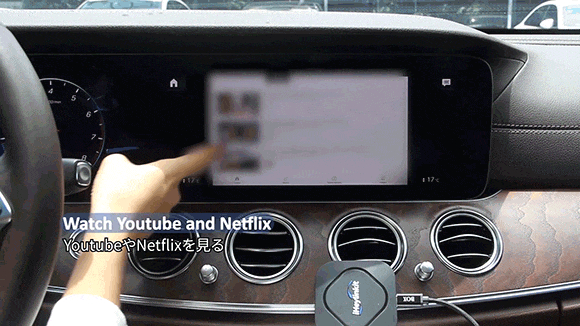 YouTubeとNetflixが視聴可能