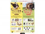横浜ゴム　愛犬と楽しむWキャンペーンをタイヤガーデンで開催