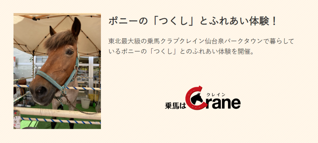 東北キャンピングカーフェア 画像3