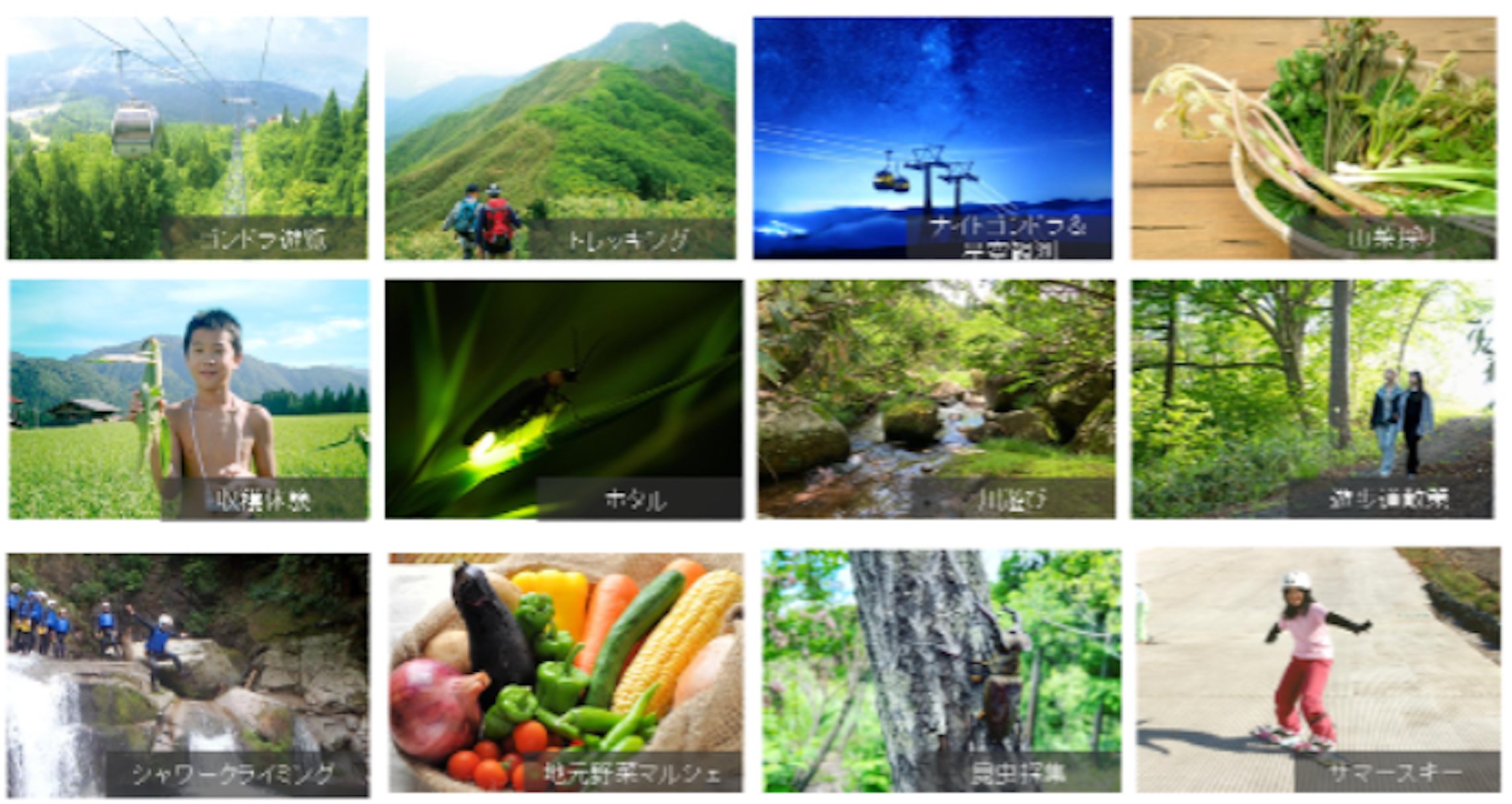 Alpen Outdoorsしろとりフィールド 画像6