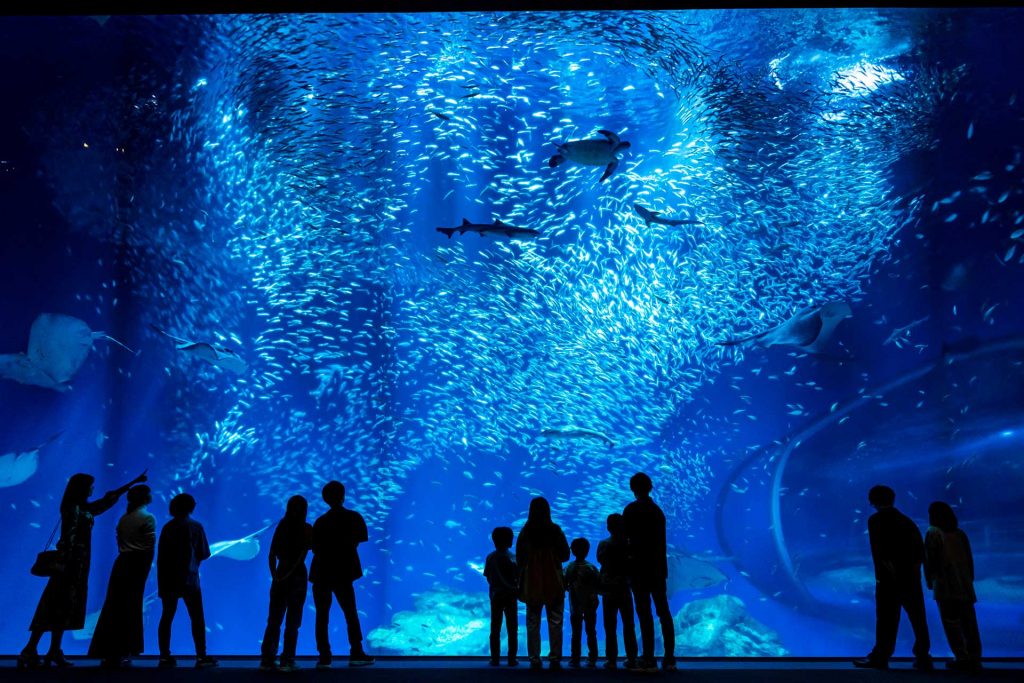 80種2万匹の魚が泳ぐ「出会いの海の大水槽」はショーのような迫力