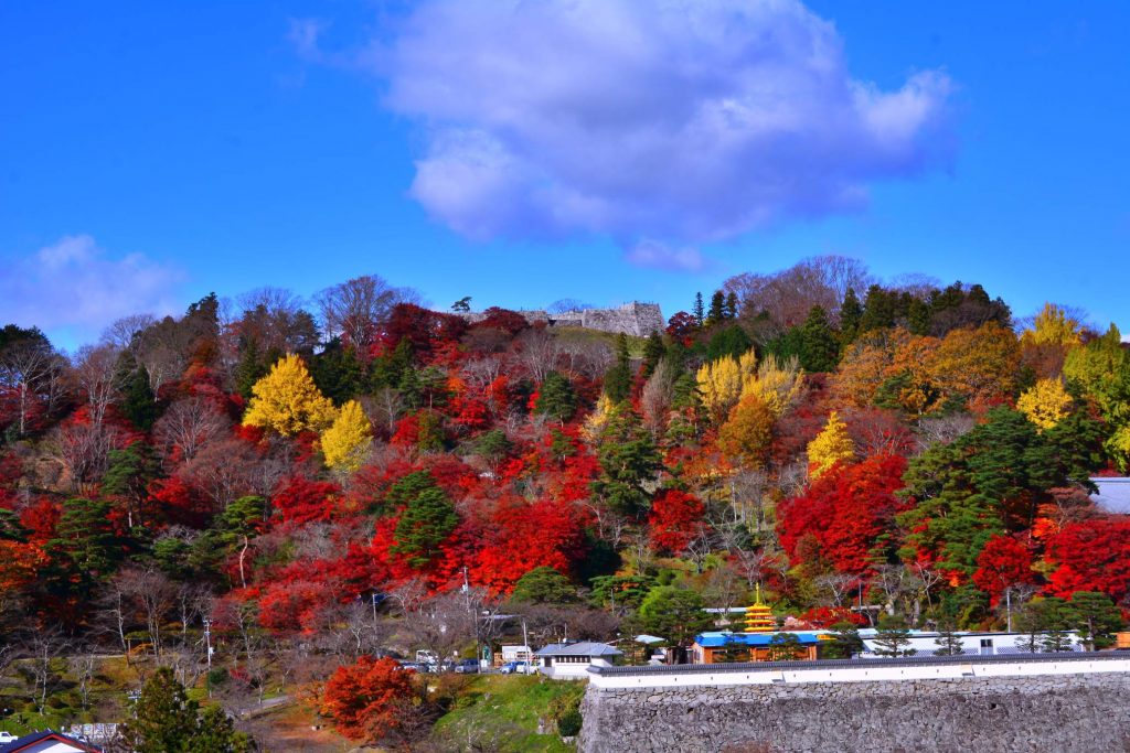 霞ヶ城公園