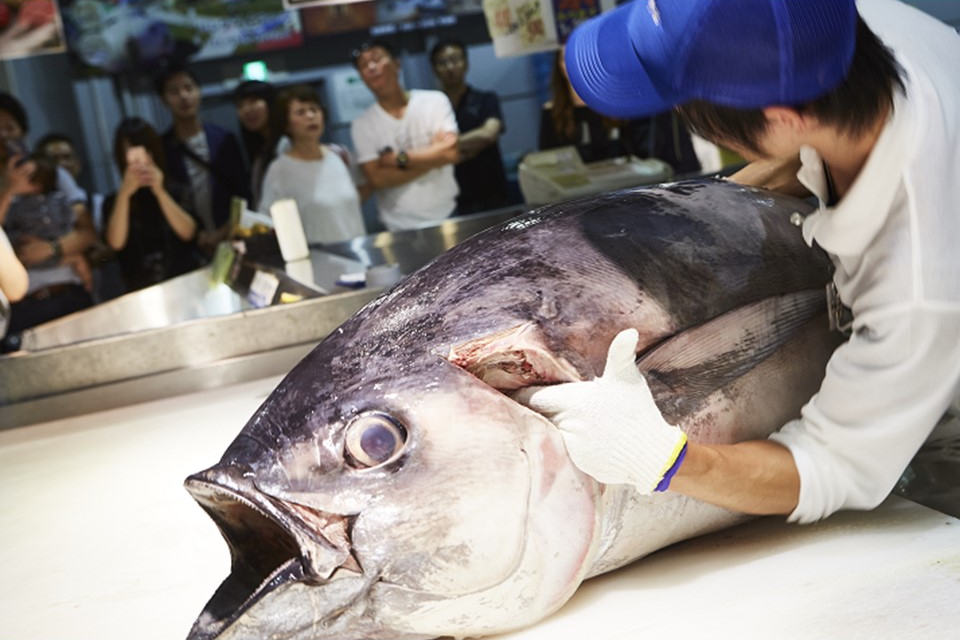 マグロ解体ショー