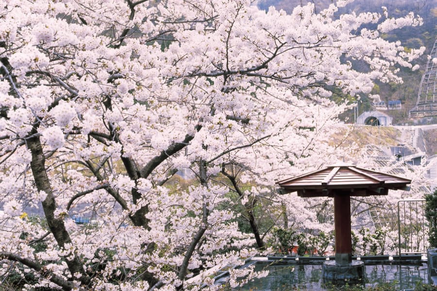 快晴の露天風呂から広がる青空と山の景色
