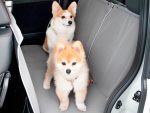 ホンダ 愛犬用アクセサリー装着車を展示 アウトドアドッグフェスタin八ヶ岳