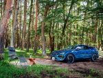 輸入車で気負わず楽しむアウトドア。おすすめモデル＆中古車情報