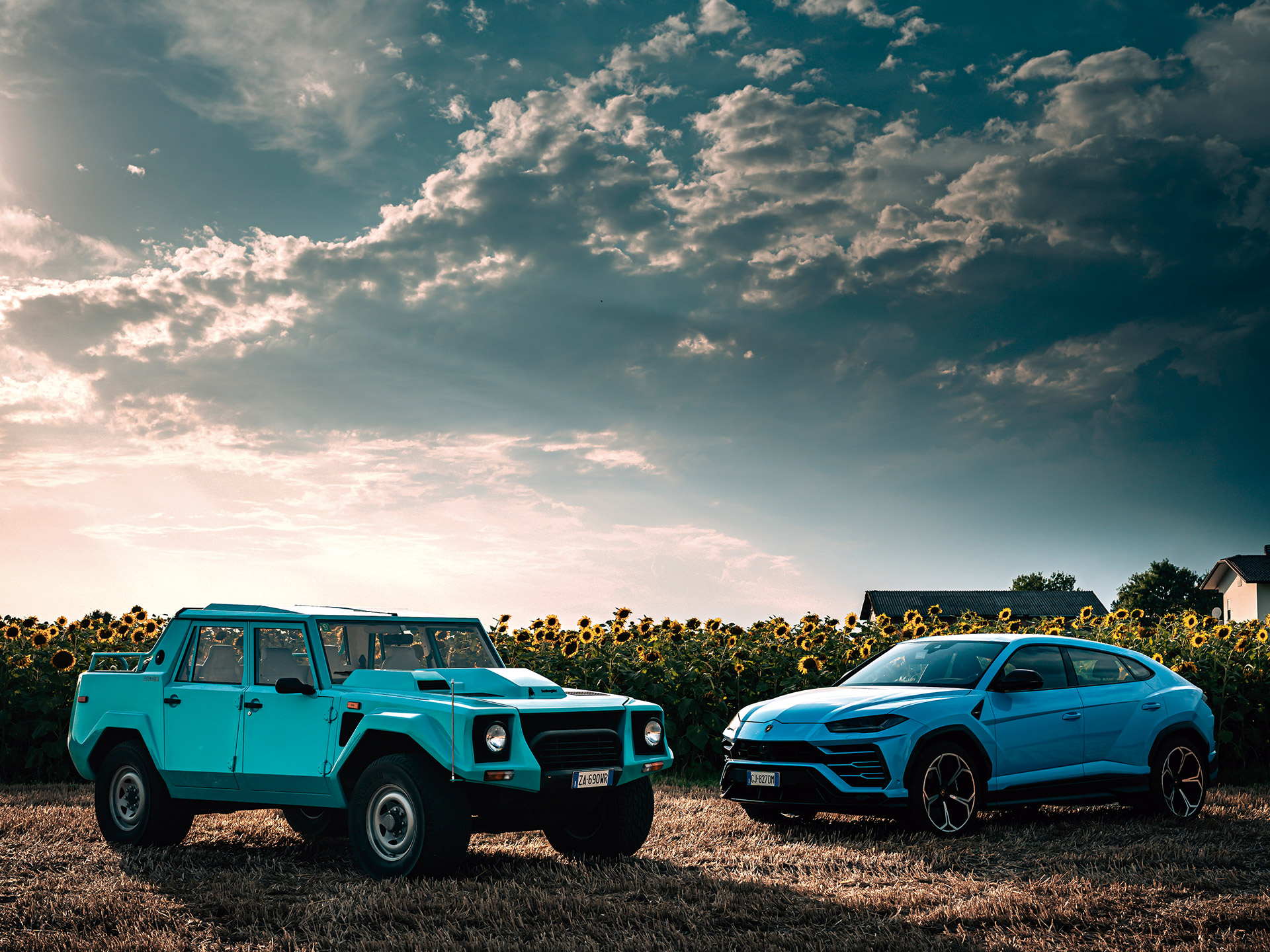 ܥ륮 륹 ȥѡξＱɤˤѡSUVŲ