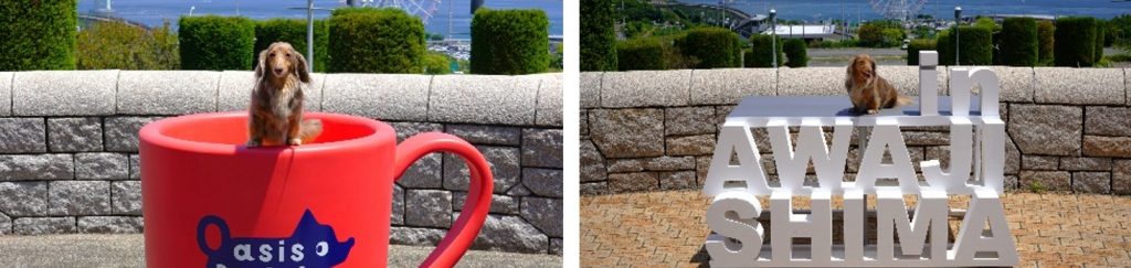 愛犬と一緒に撮影できるフォトスポット
