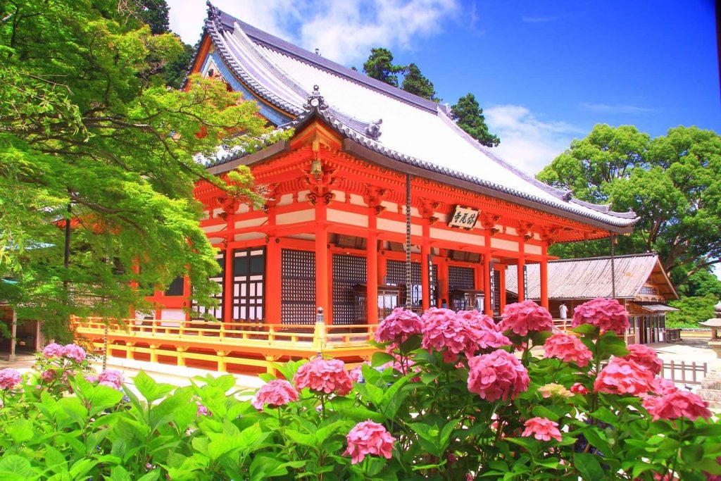 勝尾寺 画像1