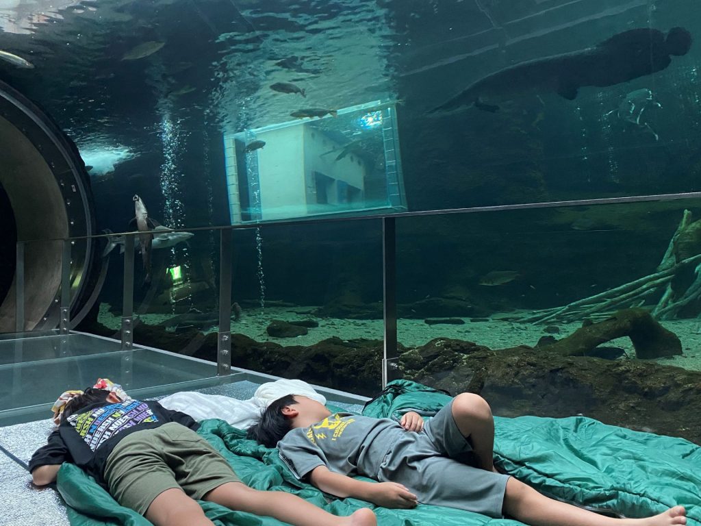 栃木県なかがわ水遊園 画像2
