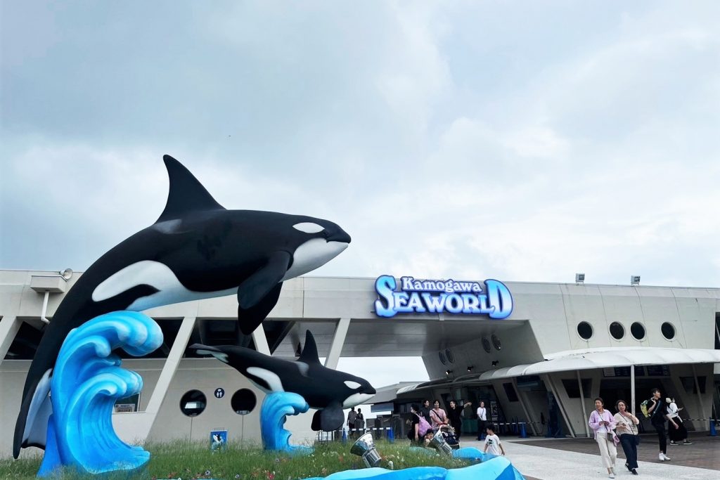 鴨川シーワールド 画像7