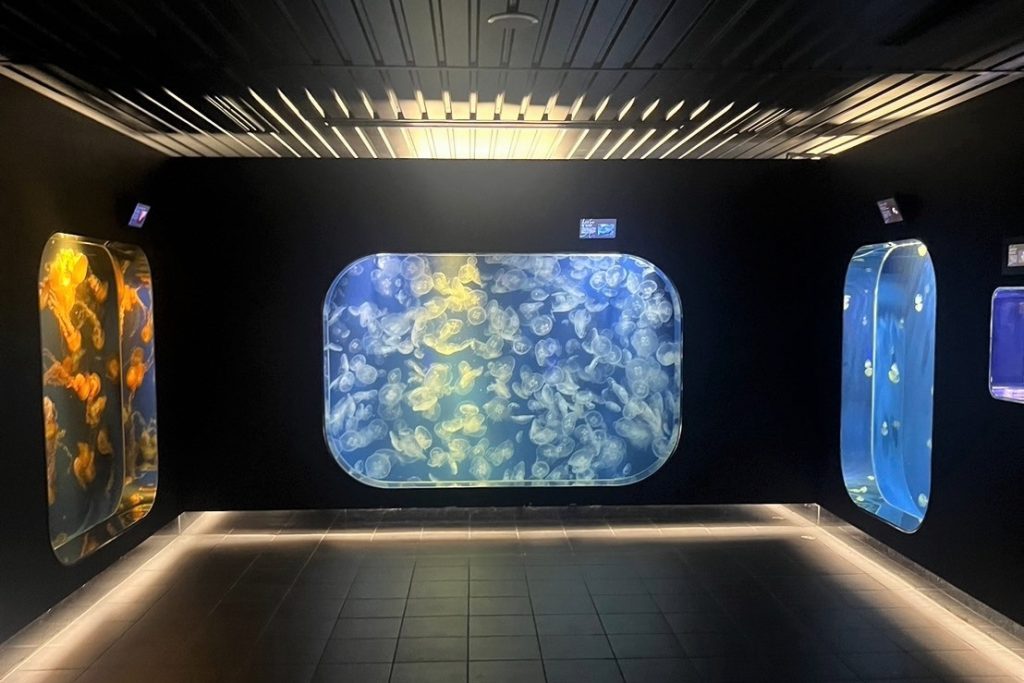 鴨川シーワールド 画像1