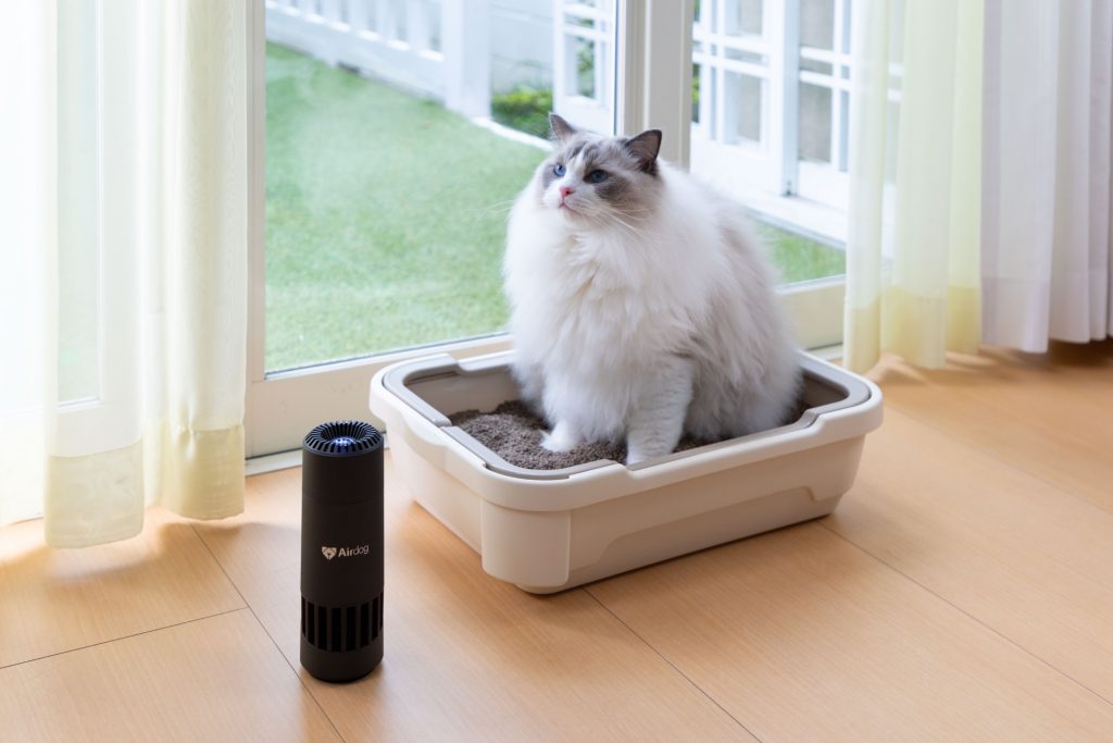「Airdog mini(エアドッグ ミニ)」4