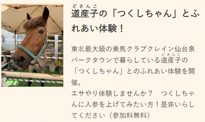 道産子の「つくしちゃん」とのふれあい体験
