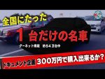 グーネット掲載は１台だけ！激レアドイツ車に井戸田潤の“代役”オラキオも唸る！