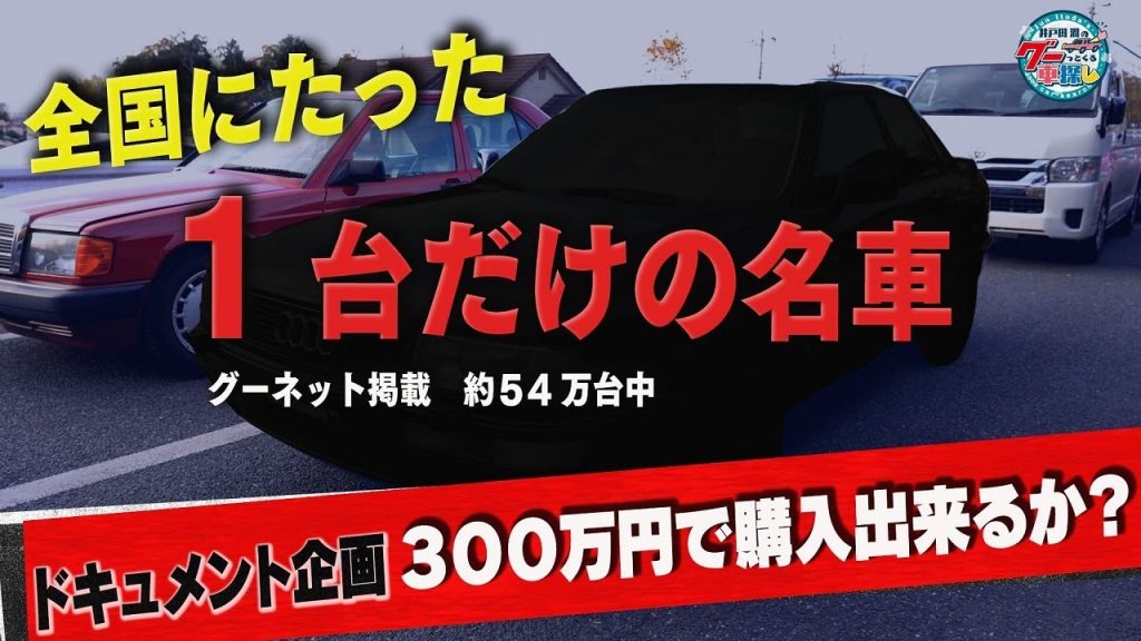 全国にたった1台!