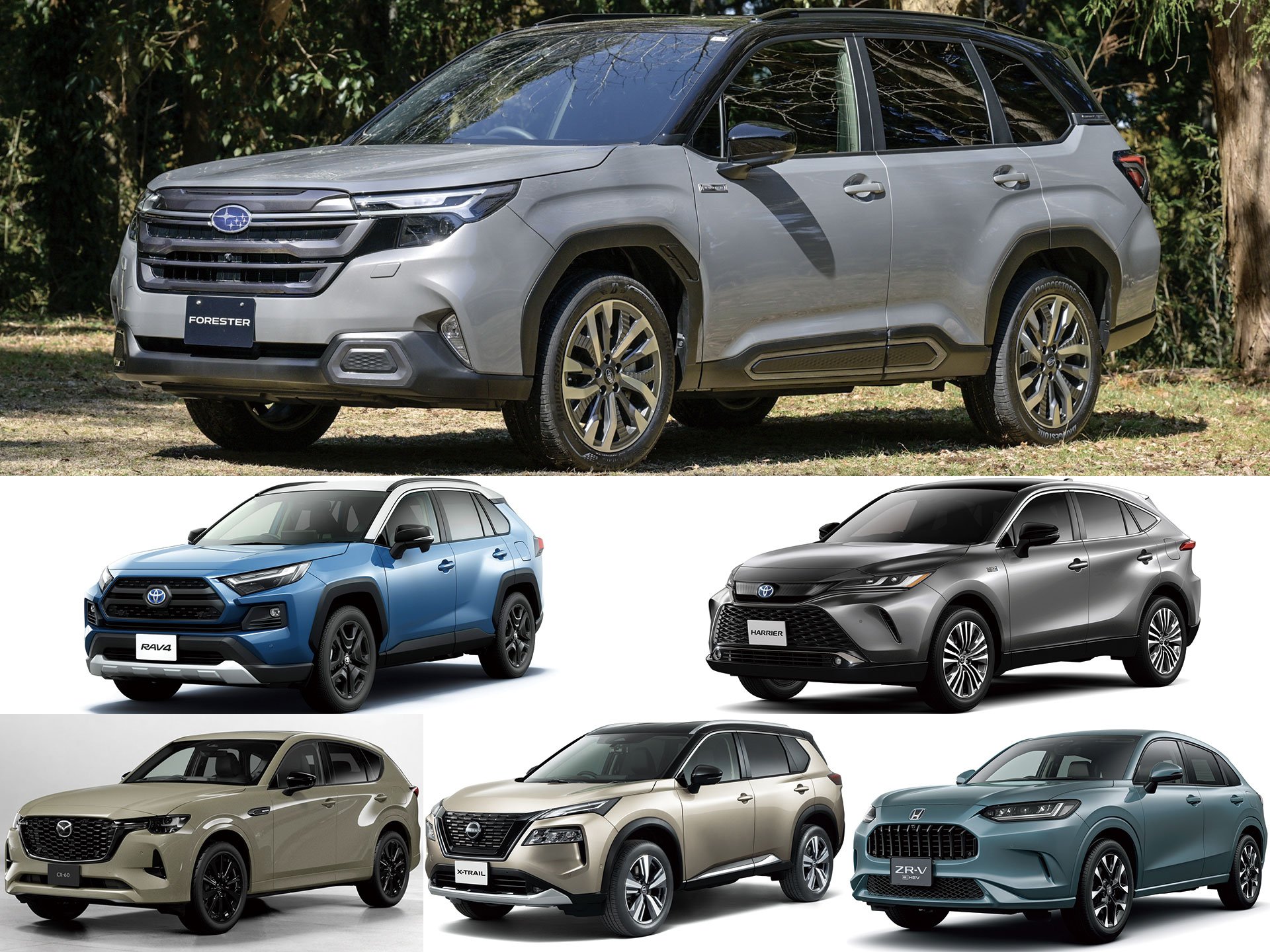 ե쥹饤ХзRAV4ȥ쥤ۤ