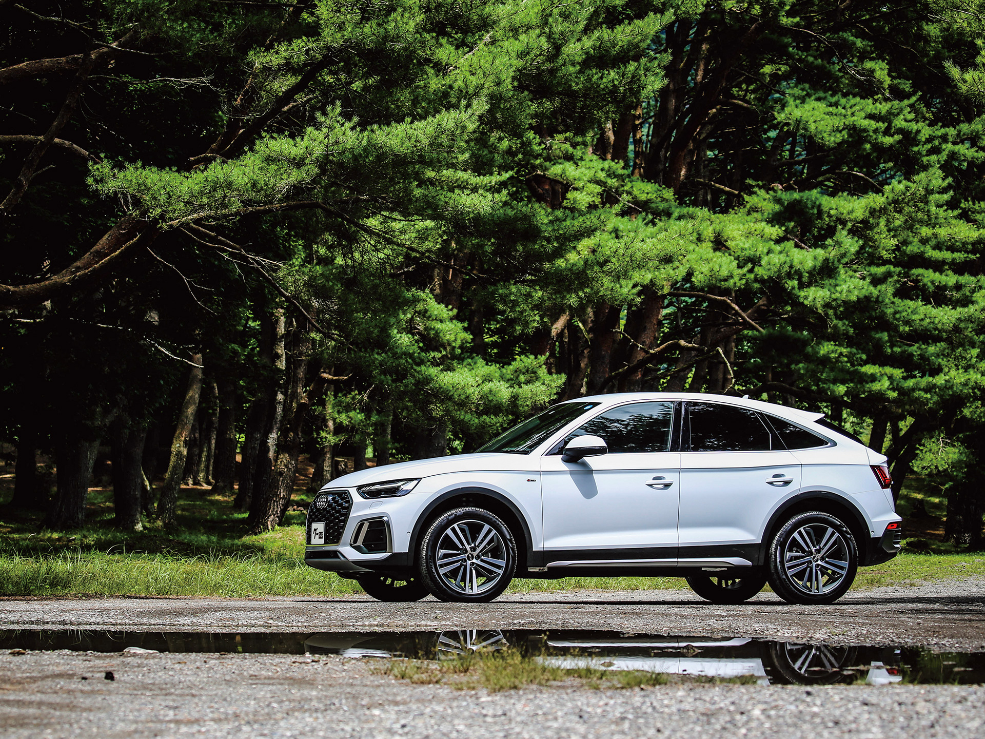 פ鷺ٸ㤦͢SUVͽ400ߤ뤪ż