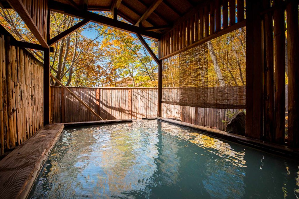 ルーセントタカミヤ 画像1