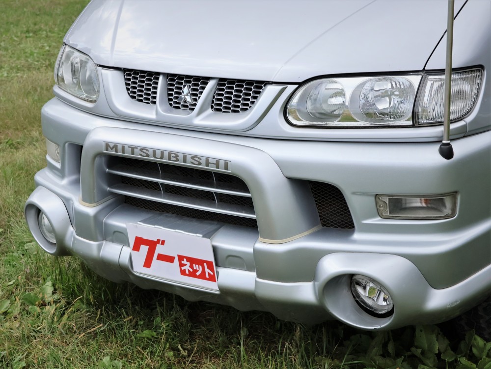 デリカスペースギア GO OUT画像3