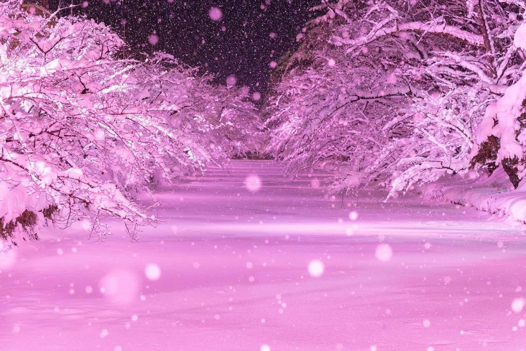 弘前市 観光課 提供