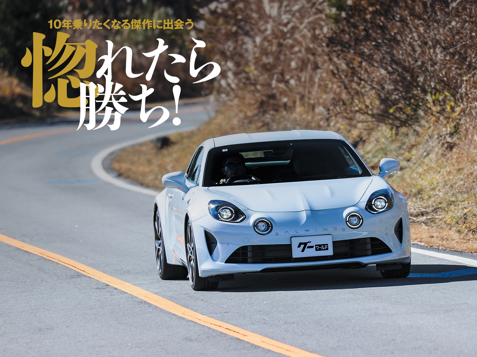 ������������ɷ㡪 �ɥ饤�С���Ǯ�������������ɤ�̥�Ϥ�͢����