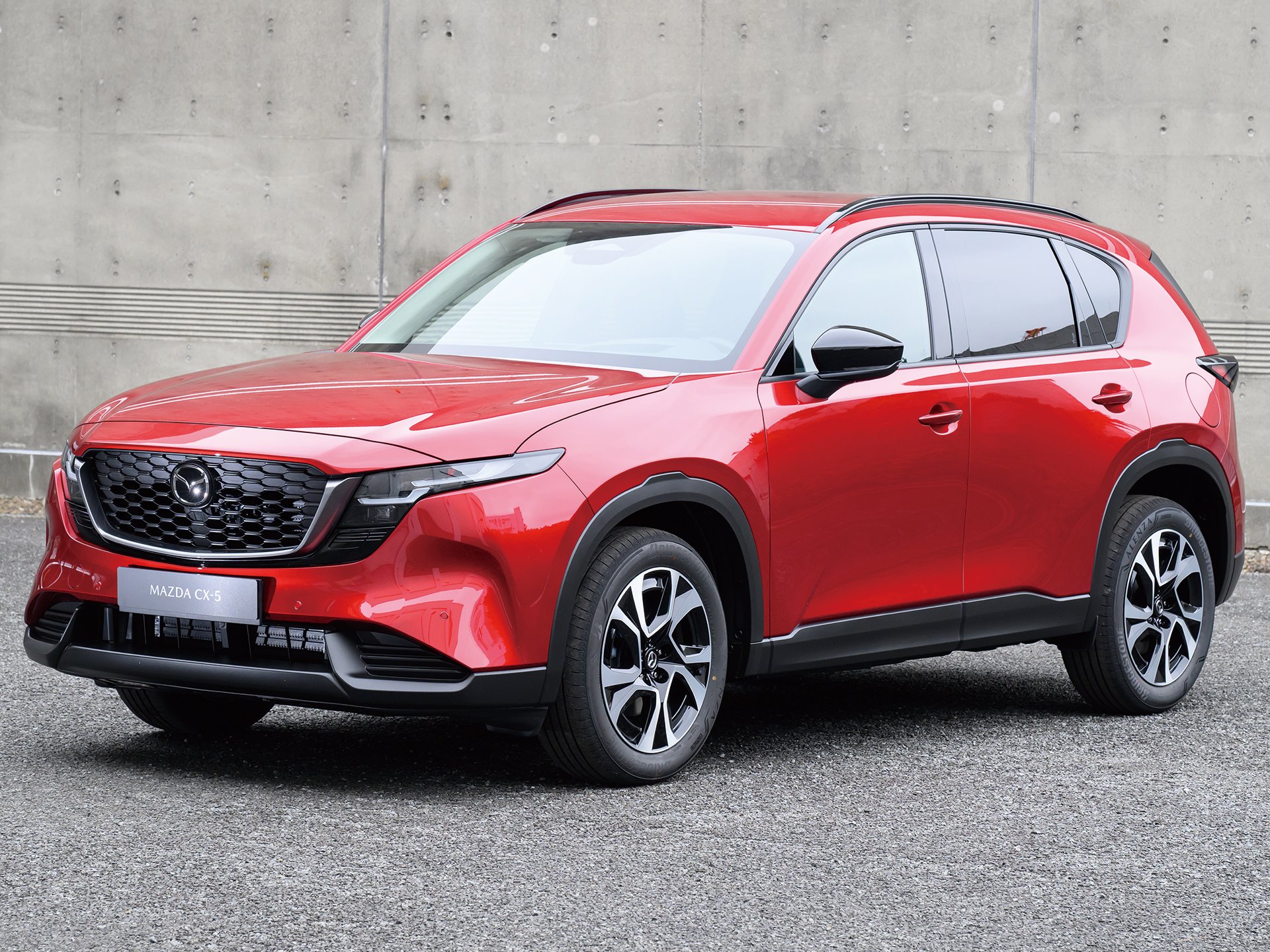 �ּ��̡��ǿ�����