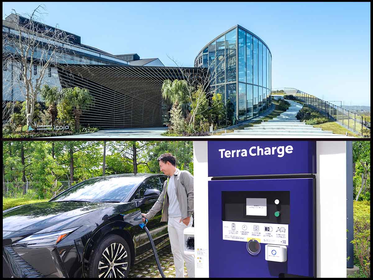 �����饤��