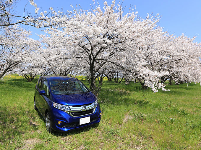 フリードは車中泊にぴったりな車？おすすめポイントや便利なアイテムを